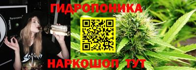 a pvp Кингисепп