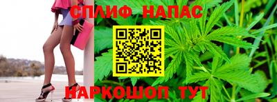 a pvp Кингисепп