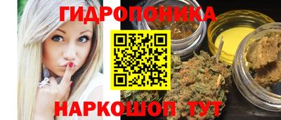 a pvp Кингисепп