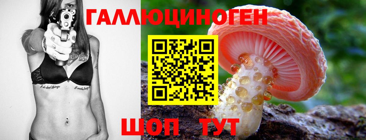 Псилоцибиновые грибы Cubensis Йошкар-Ола